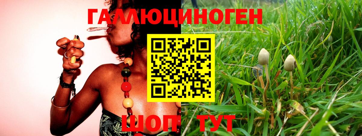 Галлюциногенные грибы ЛСД  Вход с VPN  Электросталь  Галлюциногенные грибы мицелий 